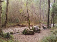 /album/riopar-nacimiento-rio-mundo-/a906192-547003582056820-270321784-o-1-jpg/